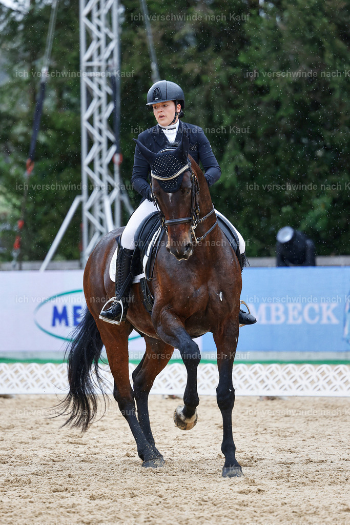 8_1-206-Klasse S_  -StoibPH-3922 | working equitationturnier fotograf videograf stoibphotography marixx film working equitation deutschland reitsport turnierfotografie eventfotografie equestrian events