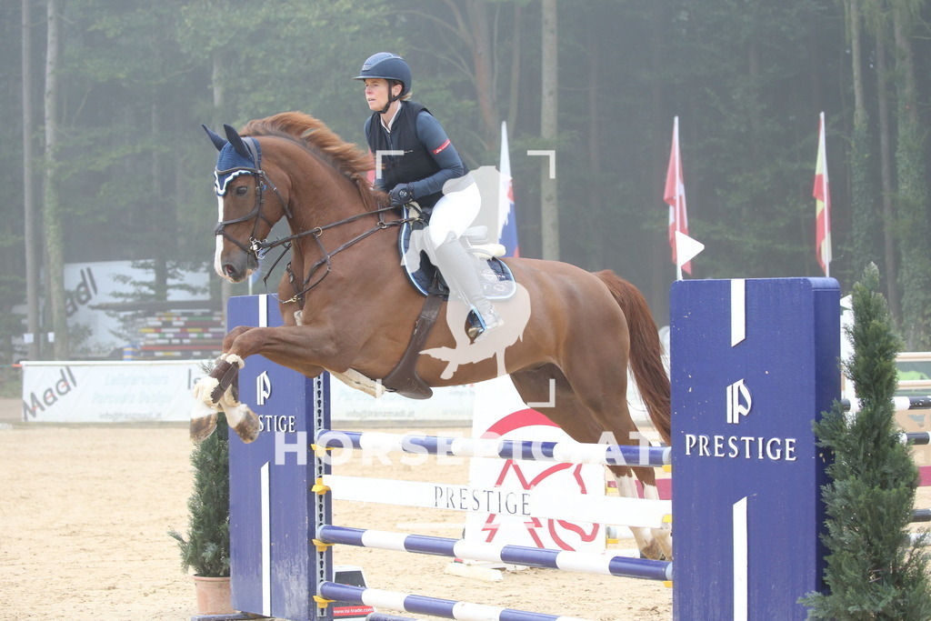 DL2Q3191 | Willkommen bei Brunnmayr - Design & Fotografie – Ihrem Spezialisten für Reitturniere und Pferdeveranstaltungen in Oberösterreich, Salzburg und Bayern! Seit über 17 Jahren sind wir leidenschaftlich dabei.