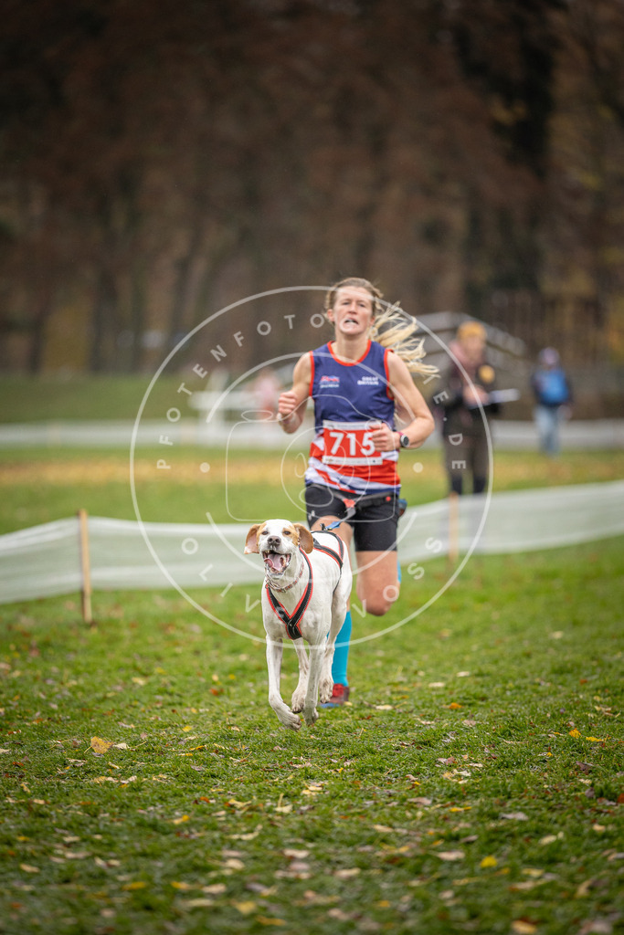 CaniXpix_DV3A9128 | Hundefotografie, Tierfotograf, Pfotenfotografie, Fotoshooting Hund, Hunde Portrait, Hundesport, Hundeportraits, Heideshooting, Hunde, Sportfotograf, Hundefotograf, Turnierhundsport, THS,  - Realisiert mit Pictrs.com