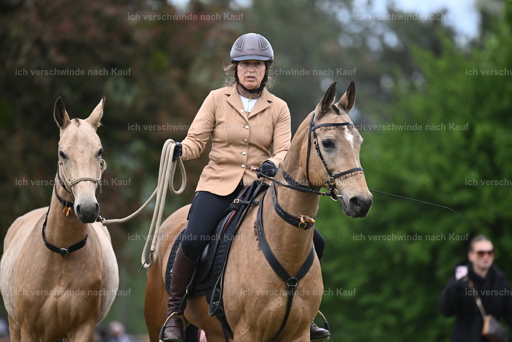 PI26_DR_Show_Sara_Landvogt_226_0668.JPG | working equitationturnier fotograf videograf stoibphotography marixx film working equitation deutschland reitsport turnierfotografie eventfotografie equestrian events