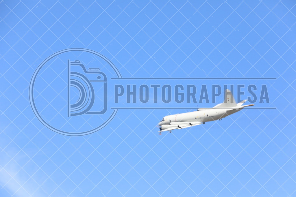 IMG_8804 | photographesa-joergens - Realisiert mit Pictrs.com
