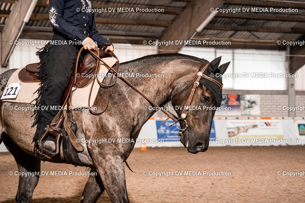 ZH100185 | dv-media-shop - Realisiert mit Pictrs.com