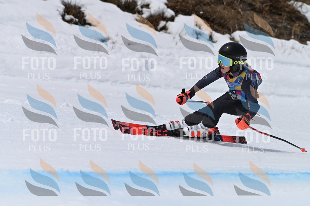 BGV_4240 | holidayphoto