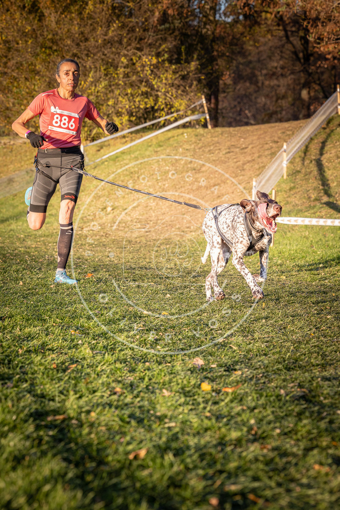 CaniXpix_0L8A1184 | Hundefotografie, Tierfotograf, Pfotenfotografie, Fotoshooting Hund, Hunde Portrait, Hundesport, Hundeportraits, Heideshooting, Hunde, Sportfotograf, Hundefotograf, Turnierhundsport, THS,  - Realisiert mit Pictrs.com