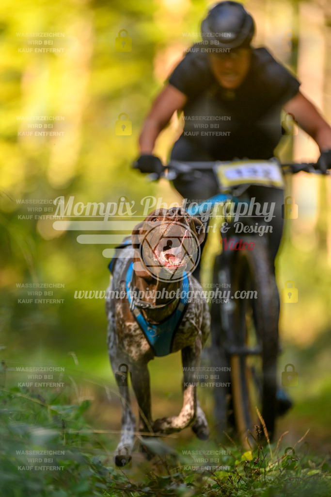 MompixPhotography_Yens2025_B3-20 | PayLife