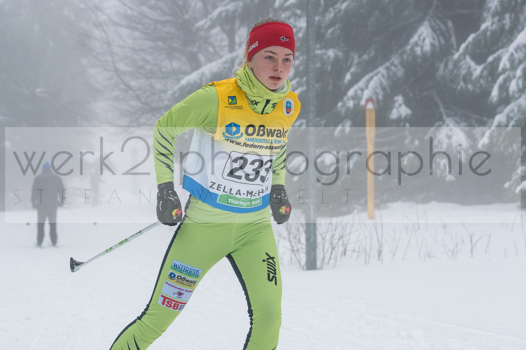Otto-Wahl-Lauf Oberhof | Otto-Wahl-Lauf in Oberhof am 29. Februar 2020