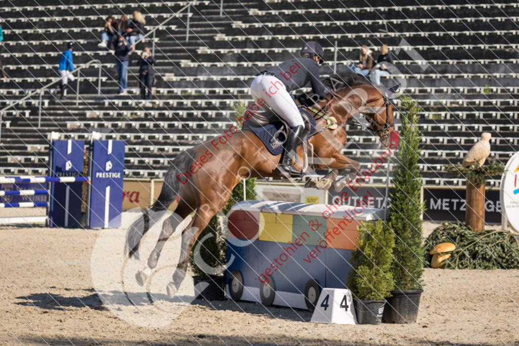 IMG_3280 | Sport-, Event- und Tierfotos in Profiqualität. Einfach auswählen, bestellen und herunterladen. Dein Moment – perfekt festgehalten.