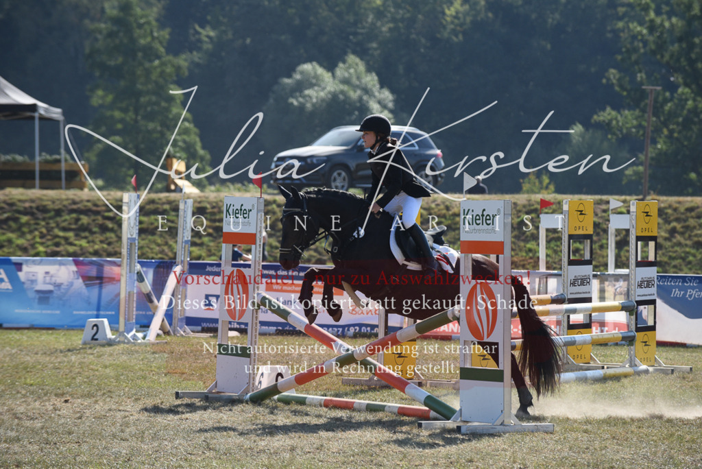 DSC_6115 | Pferde- und Turnierfotografie in Westsachsen. Pferdeportraits, Auftragszeichnungen und intuitive Kunst.