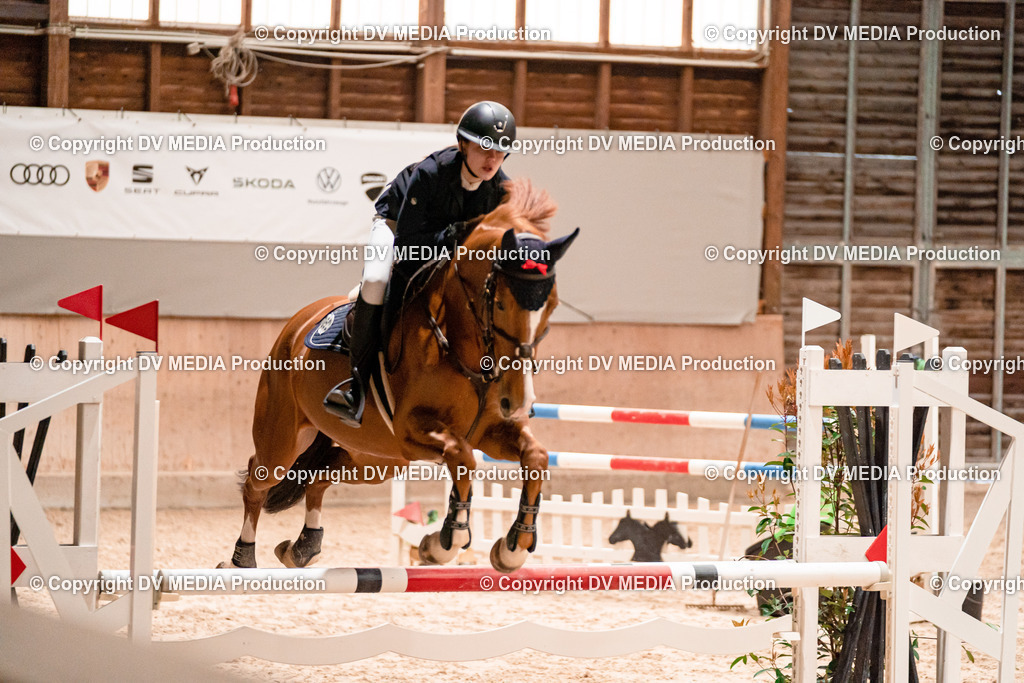 Springen Tag 2-085 | dv-media-shop - Realisiert mit Pictrs.com