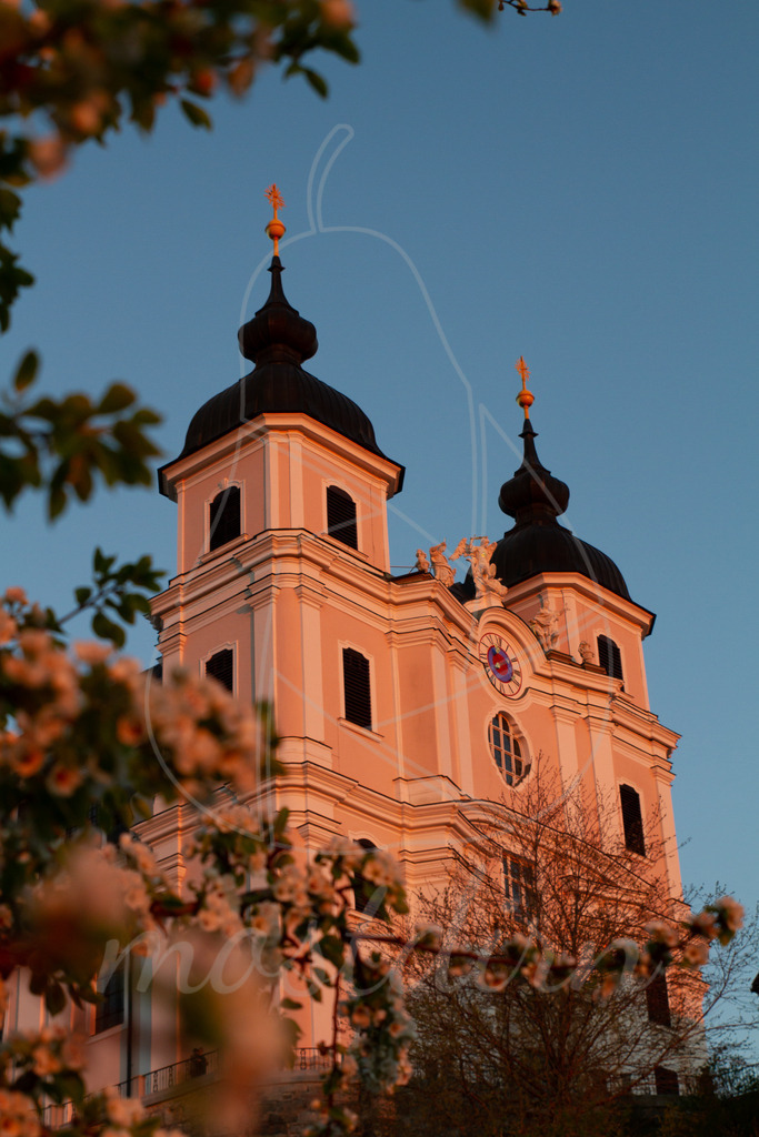 Frühling am Sonntagberg | Bei Veröffentlichung des Bildes ist eine Namensnennung wie folgt erforderlich: 
Foto: Mostdirn Irmgard Wieser - Realisiert mit Pictrs.com
