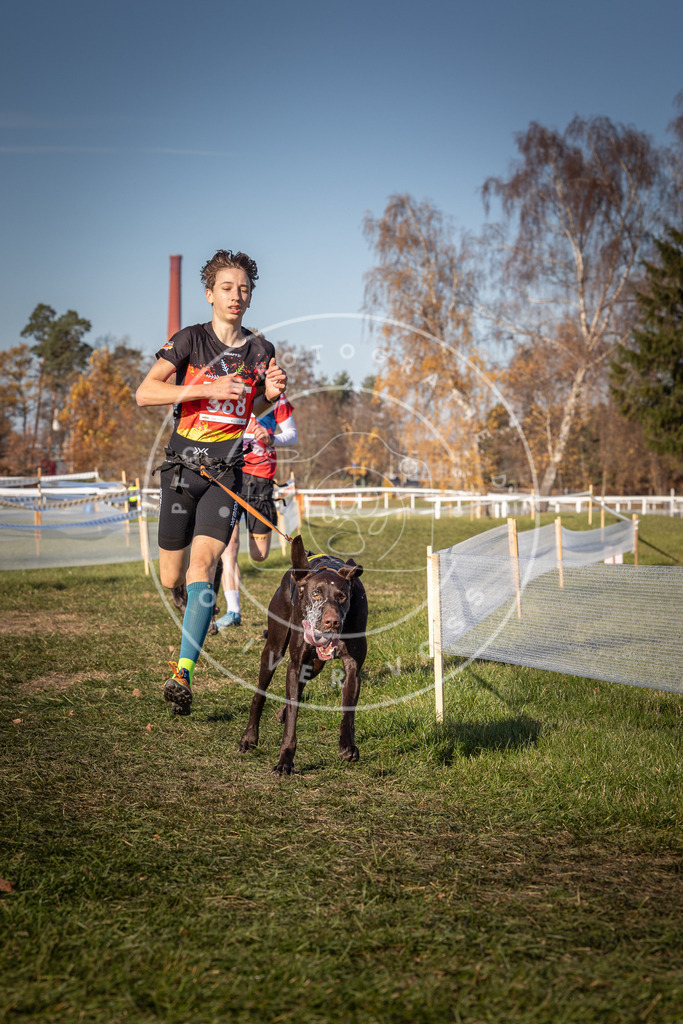 CaniXpix_0L8A7993 | Hundefotografie, Tierfotograf, Pfotenfotografie, Fotoshooting Hund, Hunde Portrait, Hundesport, Hundeportraits, Heideshooting, Hunde, Sportfotograf, Hundefotograf, Turnierhundsport, THS,  - Realisiert mit Pictrs.com