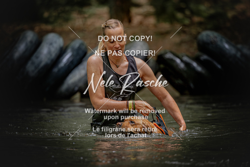 nelerasche_SaWingst1200-1230_159 | nelerasche