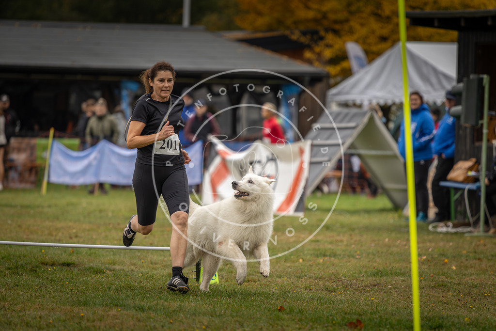 Pfotenfotografie_DV3A1599 | Hundefotografie, Tierfotograf, Pfotenfotografie, Fotoshooting Hund, Hunde Portrait, Hundesport, Hundeportraits, Heideshooting, Hunde, Sportfotograf, Hundefotograf, Turnierhundsport, THS,  - Realisiert mit Pictrs.com