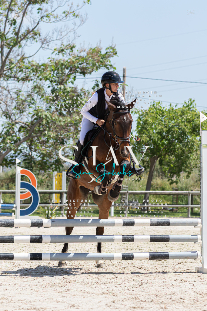 IMG_0458 | s-jay-photography - Realisiert mit Pictrs.com