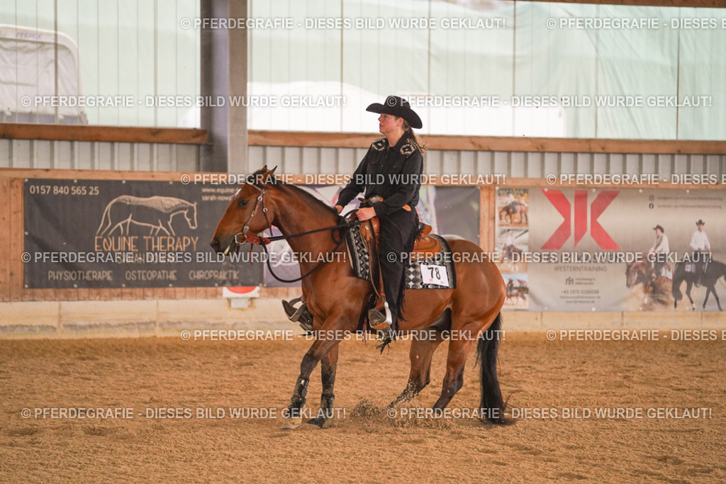 DSC09529 | Pferdegrafie