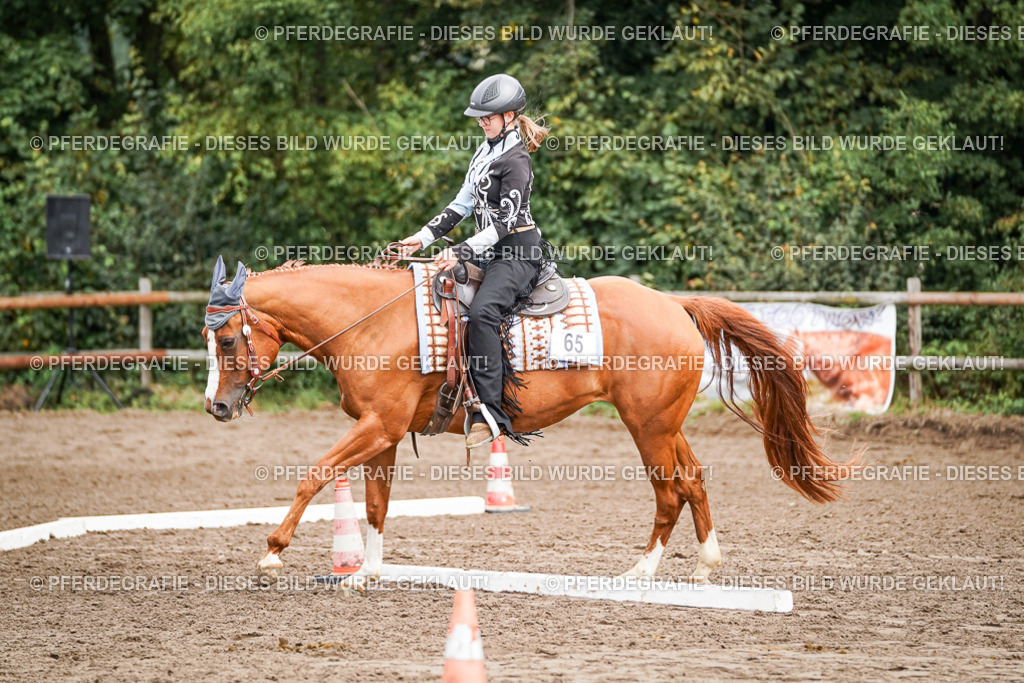 DSC04203 | Pferdegrafie