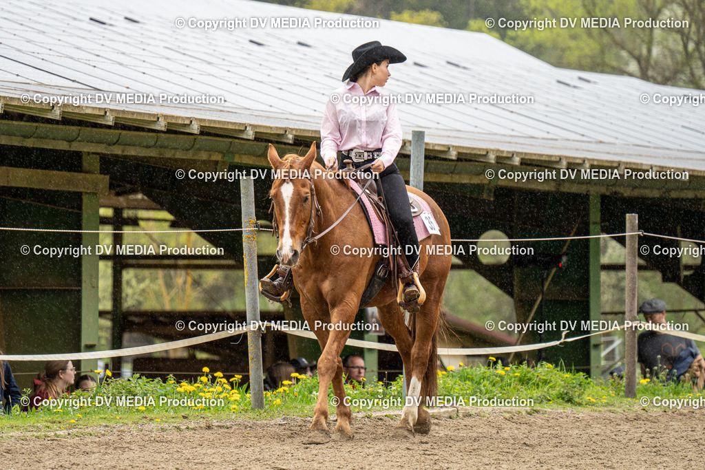 BAL00851 | dv-media-shop - Realisiert mit Pictrs.com