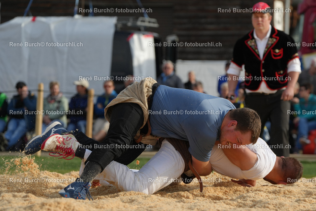 RB_05599 | René Burch leidenschaftlicher Fotograf aus Kerns in Obwalden.  Hier finden sie Sport, Landschaft und Natur Fotografie.
 - Realisiert mit Pictrs.com