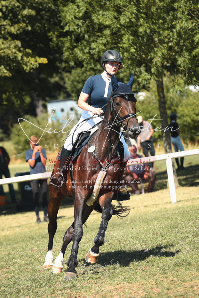 DSC_7011 | Pferde- und Turnierfotografie in Westsachsen. Pferdeportraits, Auftragszeichnungen und intuitive Kunst.