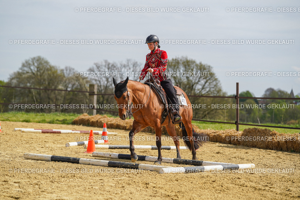 DSC04496 | Pferdegrafie