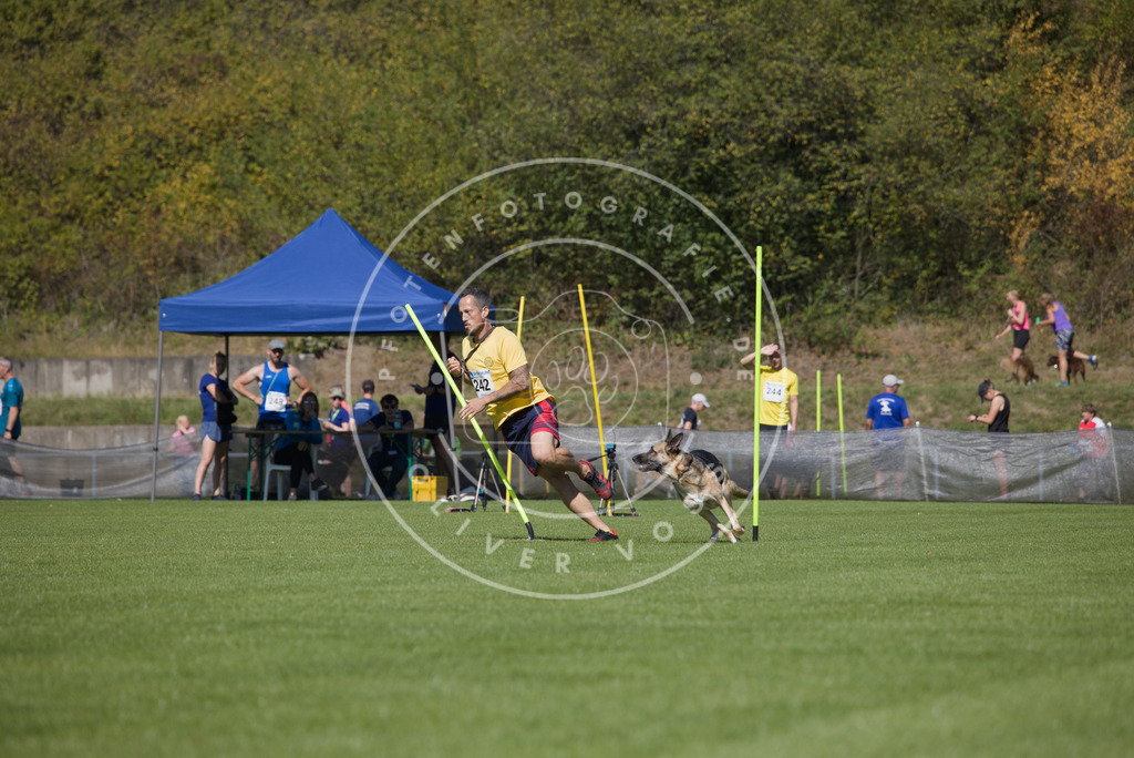 0L8A6158 | Hundefotografie, Tierfotograf, Pfotenfotografie, Fotoshooting Hund, Hunde Portrait, Hundesport, Hundeportraits, Heideshooting, Hunde, Sportfotograf, Hundefotograf, Turnierhundsport, THS,  - Realisiert mit Pictrs.com