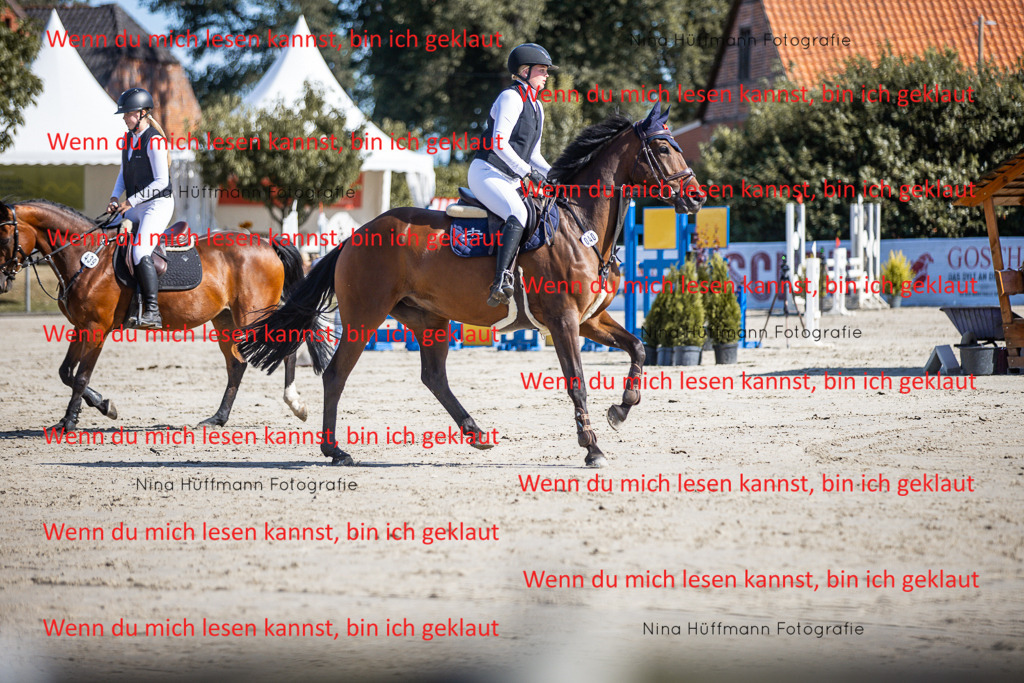 BK1A7109 | Turnierbilder Turnierfotos Nina Hüffmann Turnierfotografie Pferdefotografie Tierzeichnung Haustierzeichnung Pferdezeichnung Hundezeichnung Videograf  - Realisiert mit Pictrs.com