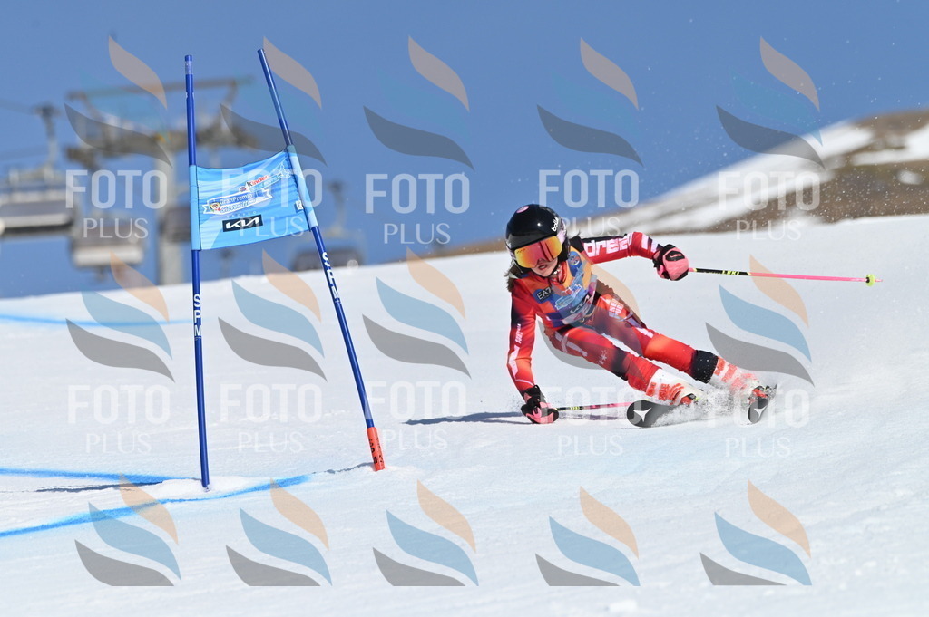 BGV_8409 | holidayphoto