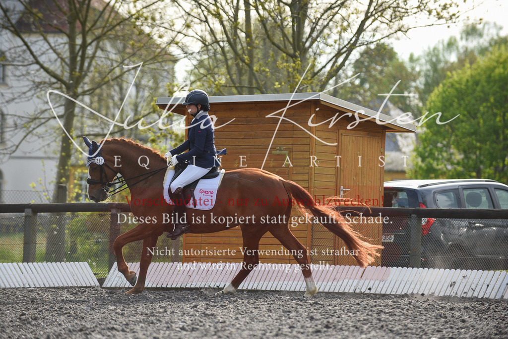 20230513_JK-Röhrsdorf-17-428 | Pferde- und Turnierfotografie in Westsachsen. Pferdeportraits, Auftragszeichnungen und intuitive Kunst.