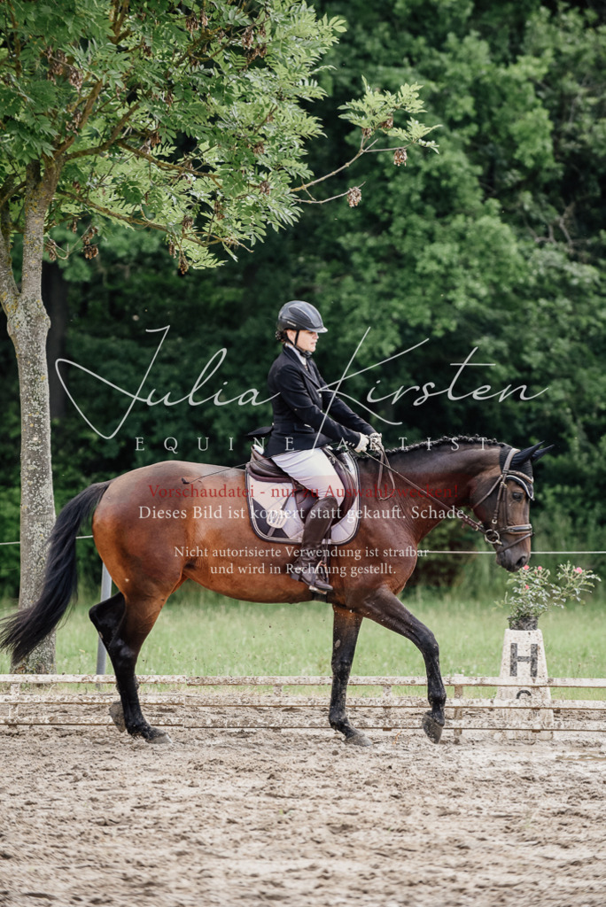 DSC_0731 | Pferde- und Turnierfotografie in Westsachsen. Pferdeportraits, Auftragszeichnungen und intuitive Kunst.