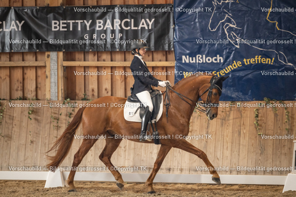 _D5A8934 | Emotionale Pferde- & People-Fotografie rund um Heidelberg, Leimen & Umgebung. Natürliche Fotos von Pferd, Mensch & Familie. Jetzt Termin sichern!