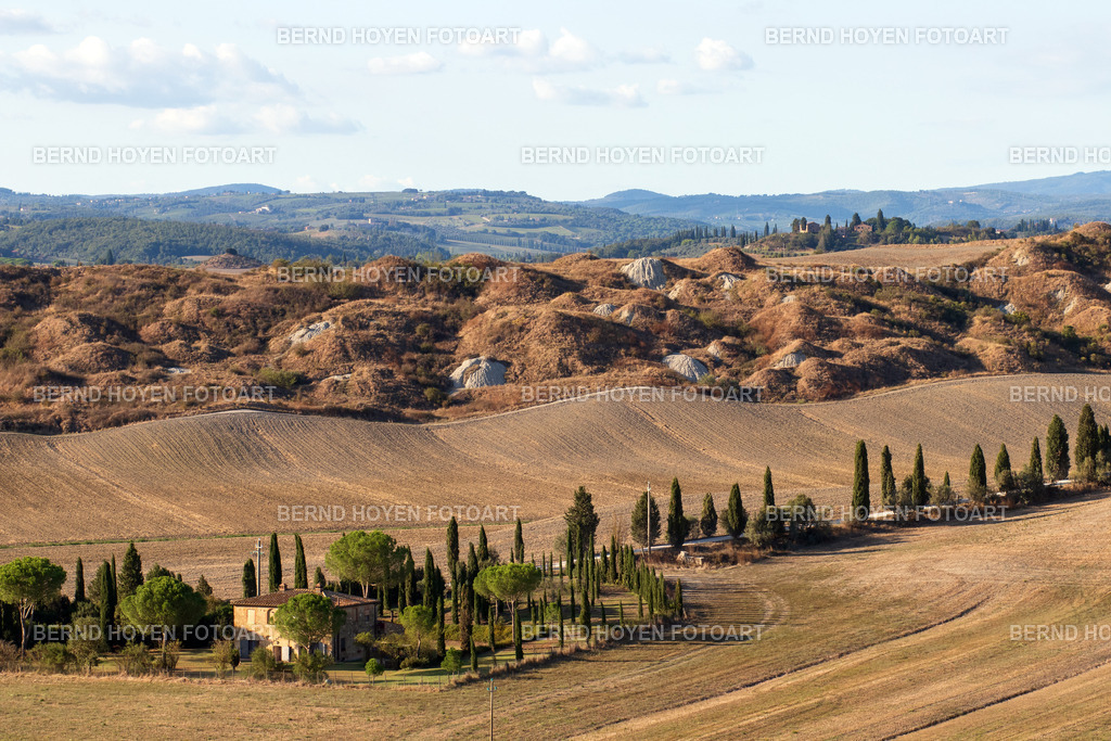 cypresses 001 | Fotografie in der Toskana, Italien.
Südlich von Siena in der Nähe des kleinen Städtchens Asciano liegt die wundervolle Landschaft der Crete Senesi. Sanfte Hügel, unzählige Zypressen und kleine, weiße Hügel (die durch Verwitterung der Tonerde entstehen) machen den Reiz dieser speziellen Landschaft aus. |  Photography in Tuscany, Italy.
South of Siena, near the small town of Asciano, lies the marvellous landscape of the Crete Senesi. Gentle hills, countless cypresses and small, white hills (created by the weathering of the clay) make up the charm of this special landscape. - Realisiert mit Pictrs.com