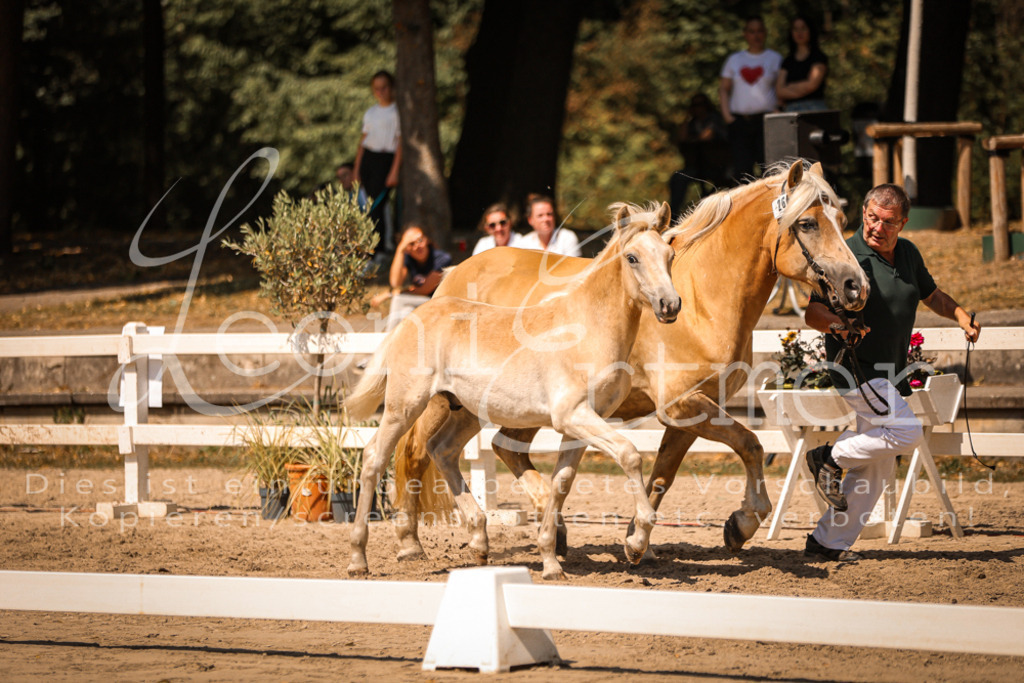 06.DoH00099 | Leoni Ertmer Photography - Realisiert mit Pictrs.com