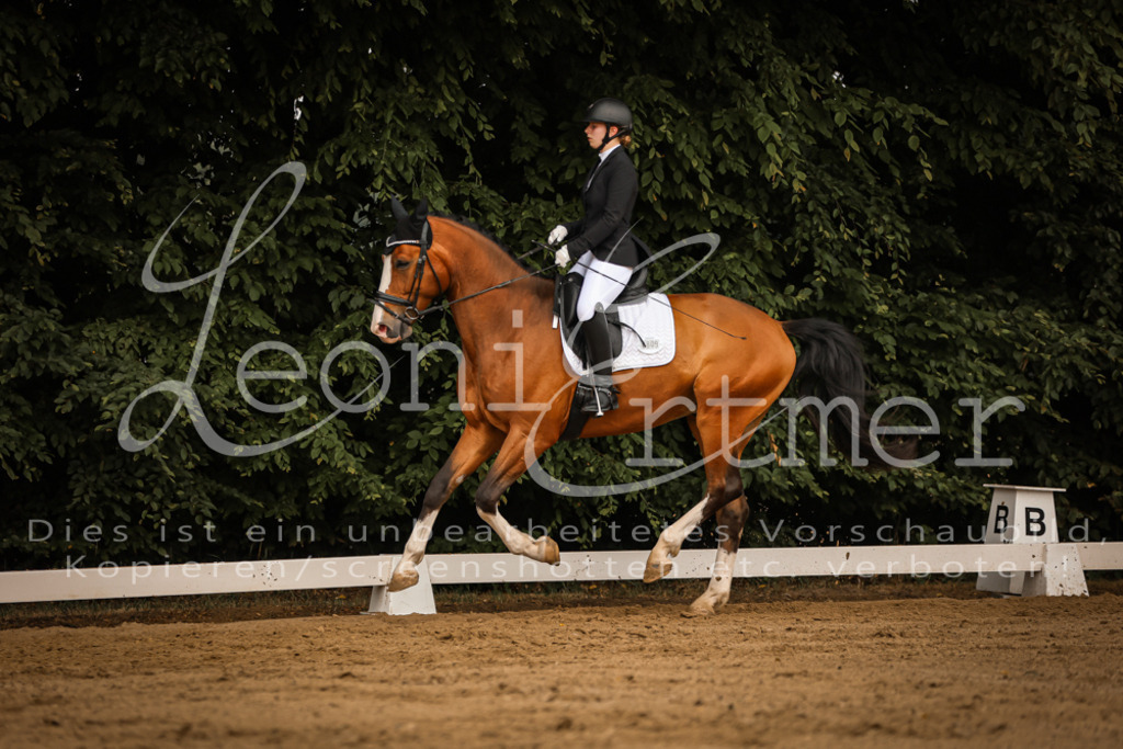 DoDrA00109 | Leoni Ertmer Photography - Realisiert mit Pictrs.com