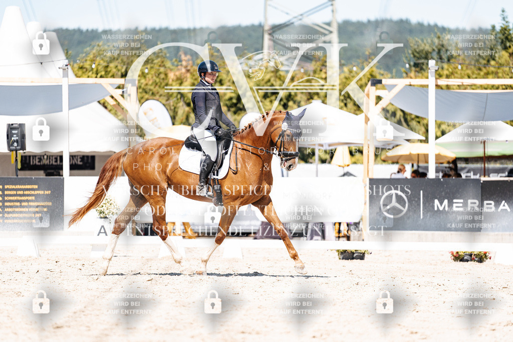 CK900086 | Turnierfotografie Pferdefotografie Trier Rheinland-Pfalz Pferdesport Reitsport Tierfotografie Sportfotografie Pferdevideo Pferdevideografie Equestrianvideography equestrianphotography  - Realisiert mit Pictrs.com