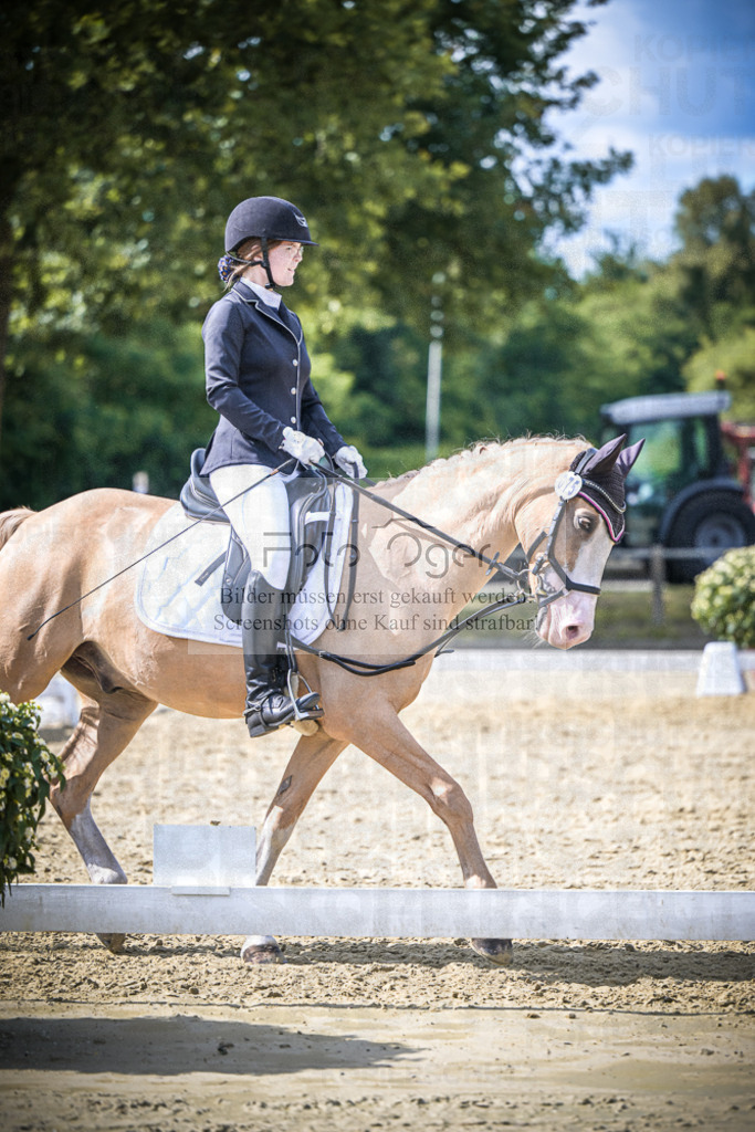 DOS_8653 | Entdecke hochwertige Reitturnierfotos von Foto Oger. Professionell, emotional und authentisch – jetzt Lieblingsmomente im Shop bestellen.Deutschlandweite Turnierfotografie. - Realisiert mit Pictrs.com