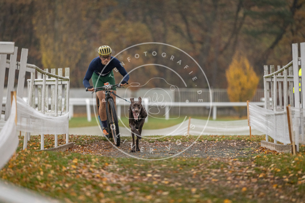 CaniXpix_DV3A7432 | Hundefotografie, Tierfotograf, Pfotenfotografie, Fotoshooting Hund, Hunde Portrait, Hundesport, Hundeportraits, Heideshooting, Hunde, Sportfotograf, Hundefotograf, Turnierhundsport, THS,  - Realisiert mit Pictrs.com