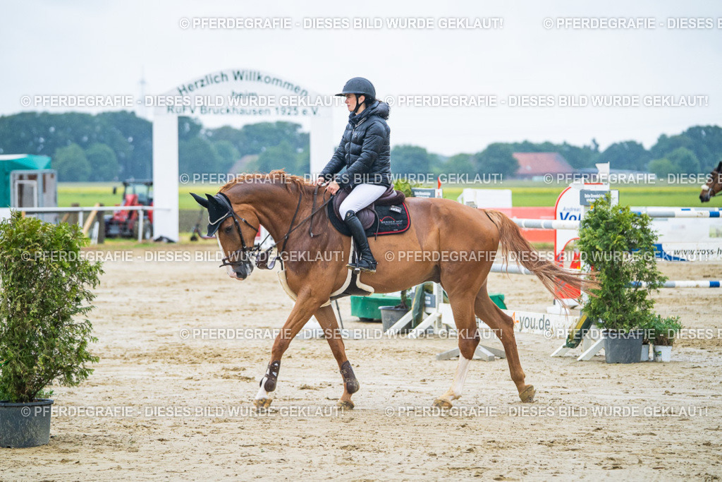 DSC00173 | Pferdegrafie