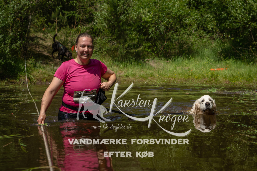 1257DKK993771 | kk-dogfotos