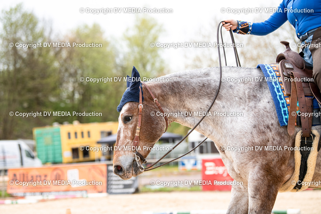 Heiligenwald Tag 1-192 | dv-media-shop - Realisiert mit Pictrs.com