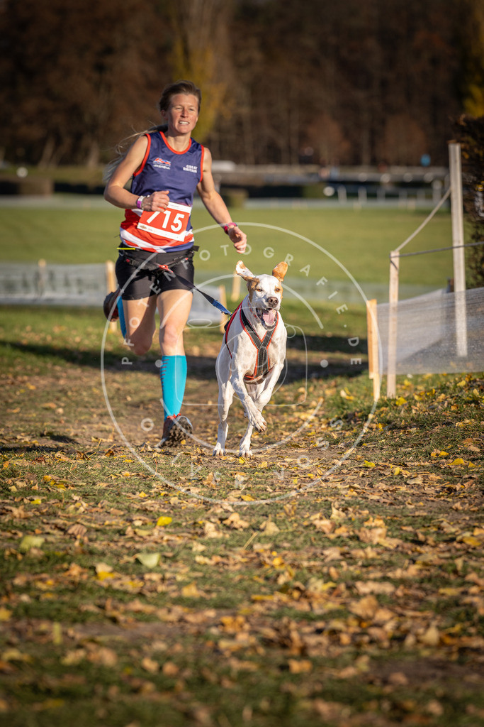 CaniXpix_DV3A1721 | Hundefotografie, Tierfotograf, Pfotenfotografie, Fotoshooting Hund, Hunde Portrait, Hundesport, Hundeportraits, Heideshooting, Hunde, Sportfotograf, Hundefotograf, Turnierhundsport, THS,  - Realisiert mit Pictrs.com