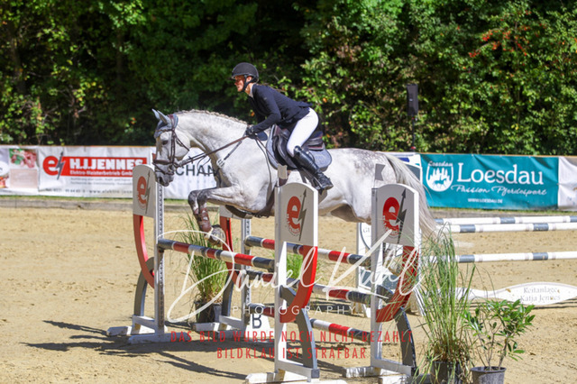 DKP43179 | Turniersportfotografie; Pferdefotografie; Dressurfotografie