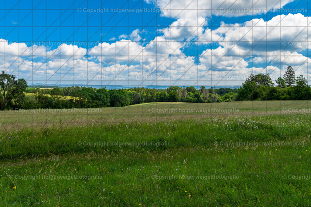 20240623120249D75_5157-Verbessert-RR | Kaufen sie online außergewöhnliche Fotografien auf Leinwand Acrylglas Fotoprint Aludibond von holgerweigeltfotografie - Realisiert mit Pictrs.com