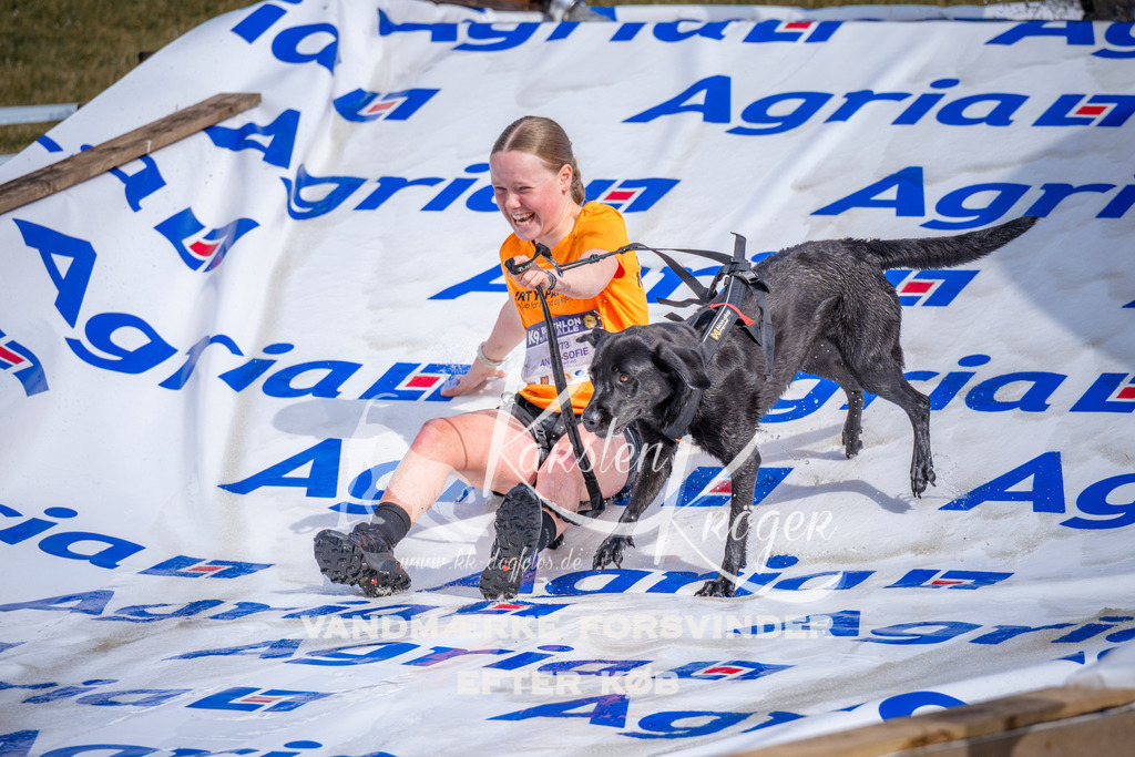 _ZZ988260811 | kk-dogfotos