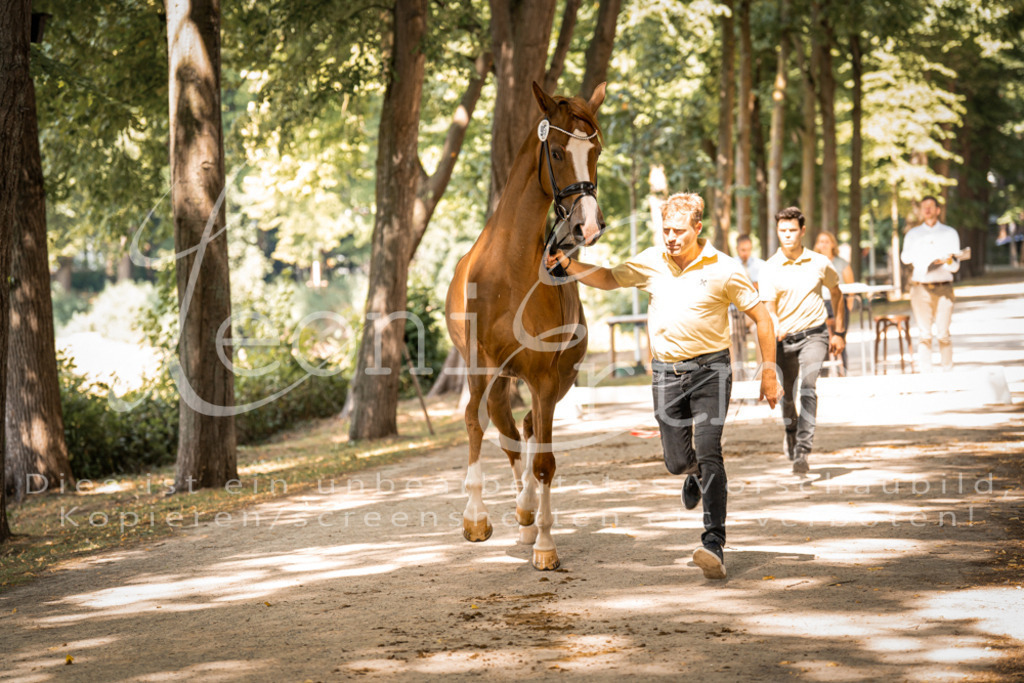 FrPfM00251 | Leoni Ertmer Photography - Realisiert mit Pictrs.com