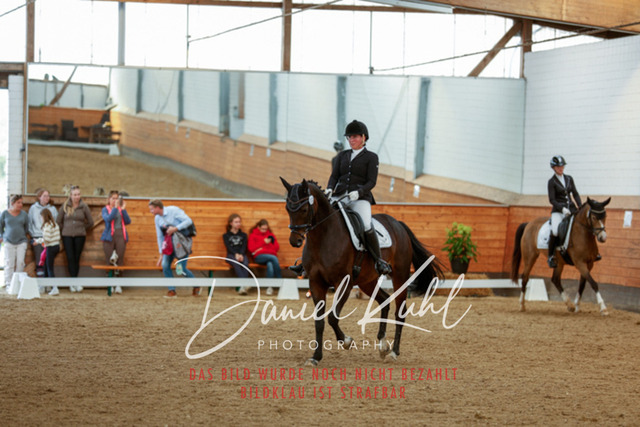 _62_7782 | Turniersportfotografie; Pferdefotografie; Dressurfotografie