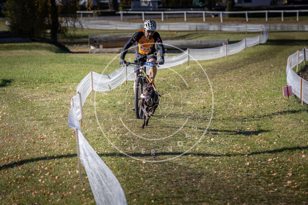 CaniXpix_DV3A5584 | Hundefotografie, Tierfotograf, Pfotenfotografie, Fotoshooting Hund, Hunde Portrait, Hundesport, Hundeportraits, Heideshooting, Hunde, Sportfotograf, Hundefotograf, Turnierhundsport, THS,  - Realisiert mit Pictrs.com