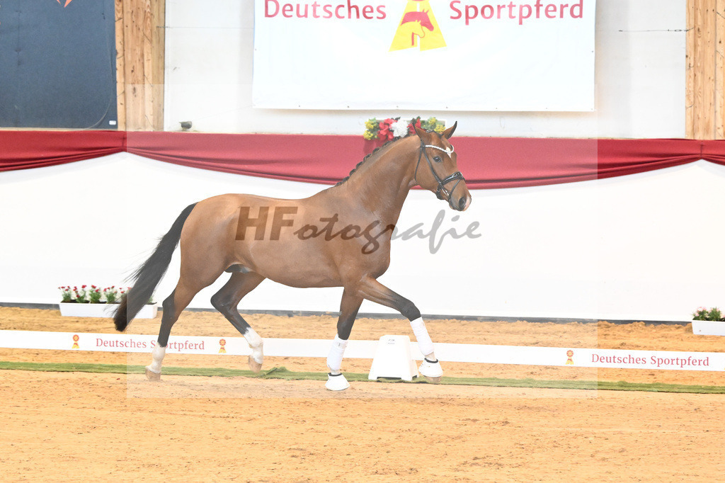 Kat-Nr. 9 Bonds x Hotline_Buergy_43231585 | hf-fotografie - Realisiert mit Pictrs.com