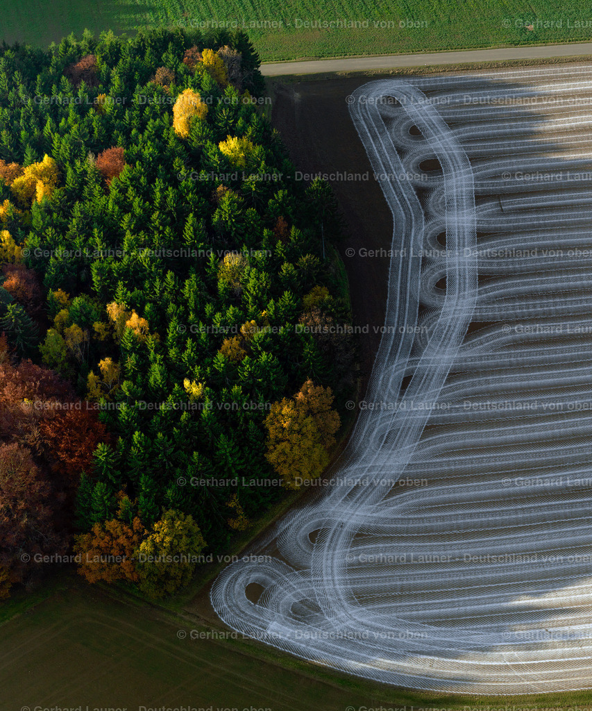 9300144 | herbstliche Baum-Feldstrukturen bei Breitenbrunn