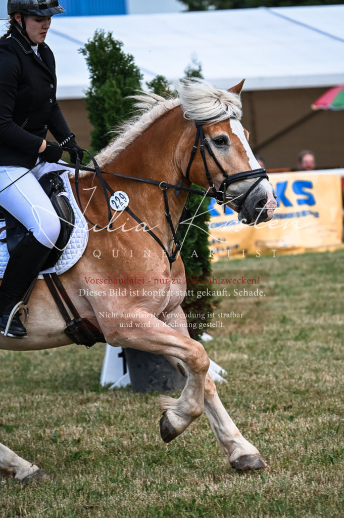 DSC_8096 | Pferde- und Turnierfotografie in Westsachsen. Pferdeportraits, Auftragszeichnungen und intuitive Kunst.