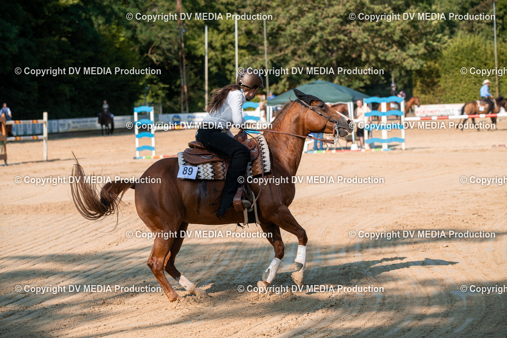 ZS2_8848 | dv-media-shop - Realisiert mit Pictrs.com